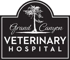 Grand Canyon Veterinary Hospital